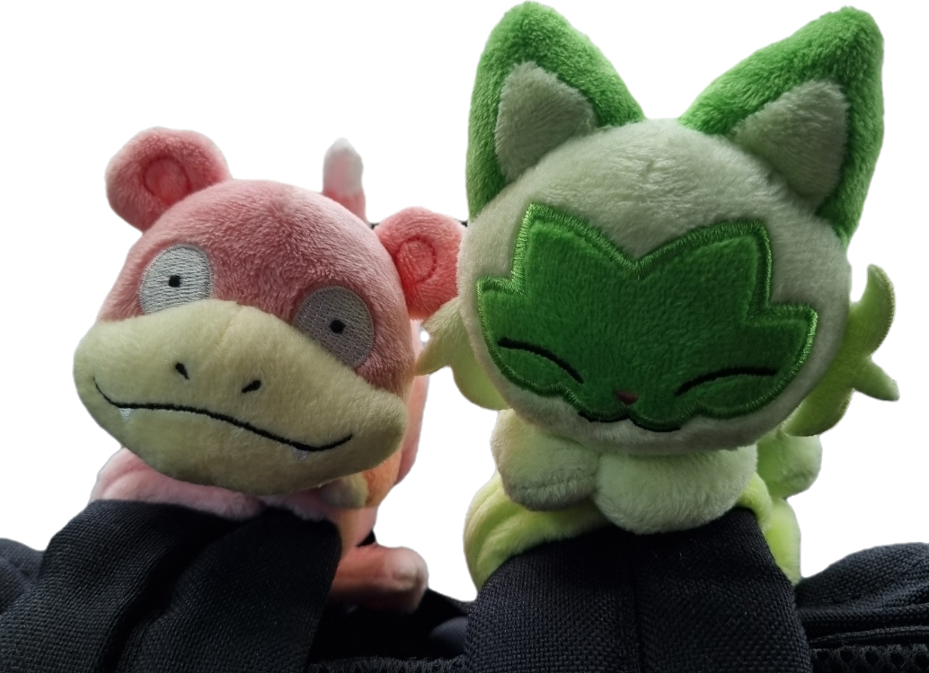 slowpoke and sprigatito