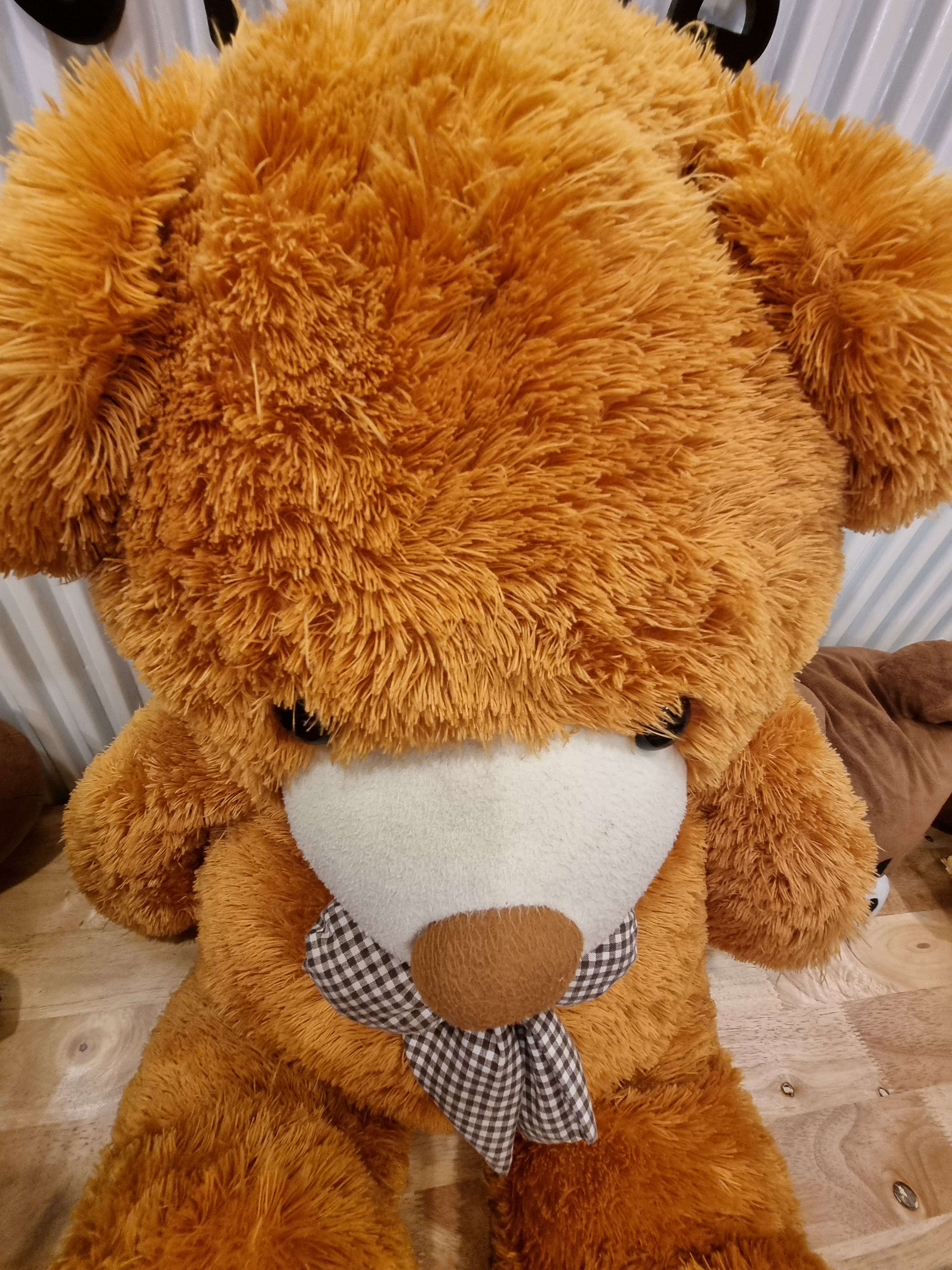 big teddy bear